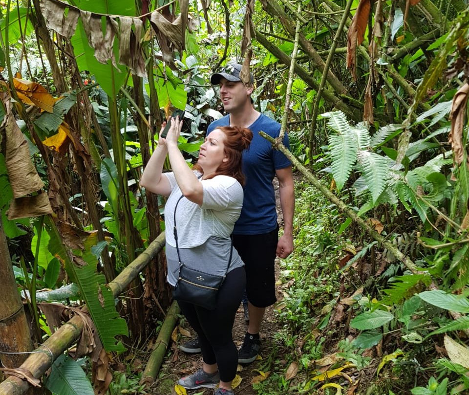 Serranía del nudo-Dosquebradas必去景点