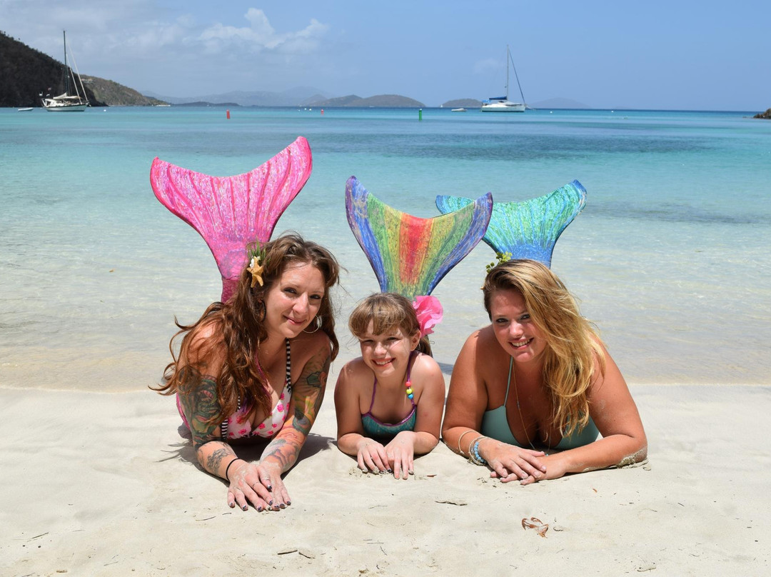 Mermaid Swim VI-克鲁兹湾必去景点