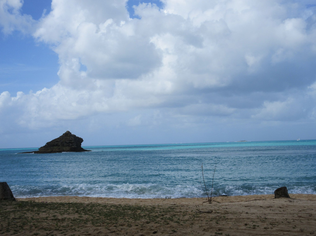 Hawksbill Bay-安提瓜必去景点