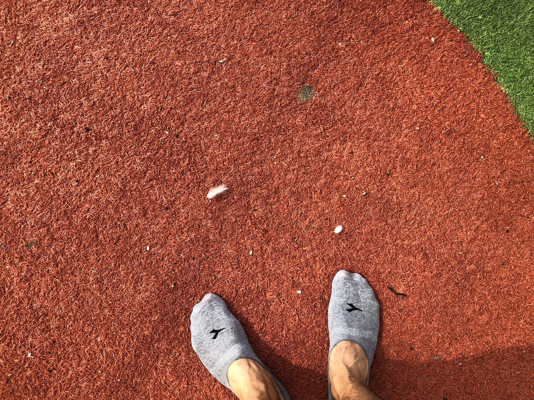 Lunada Children's Museum-贝尔谢巴必去景点