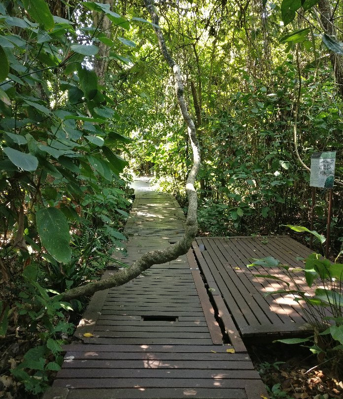 Phu Sang National Park景点图片