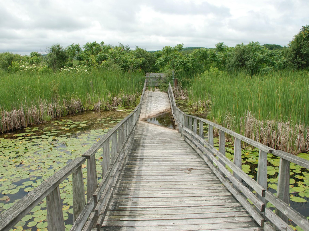 Wye Marsh Wildlife Centre景点图片