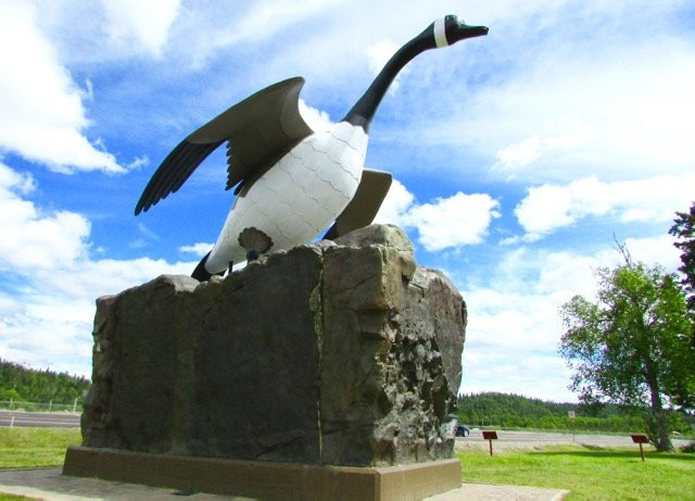 Wawa Goose Statue景点图片