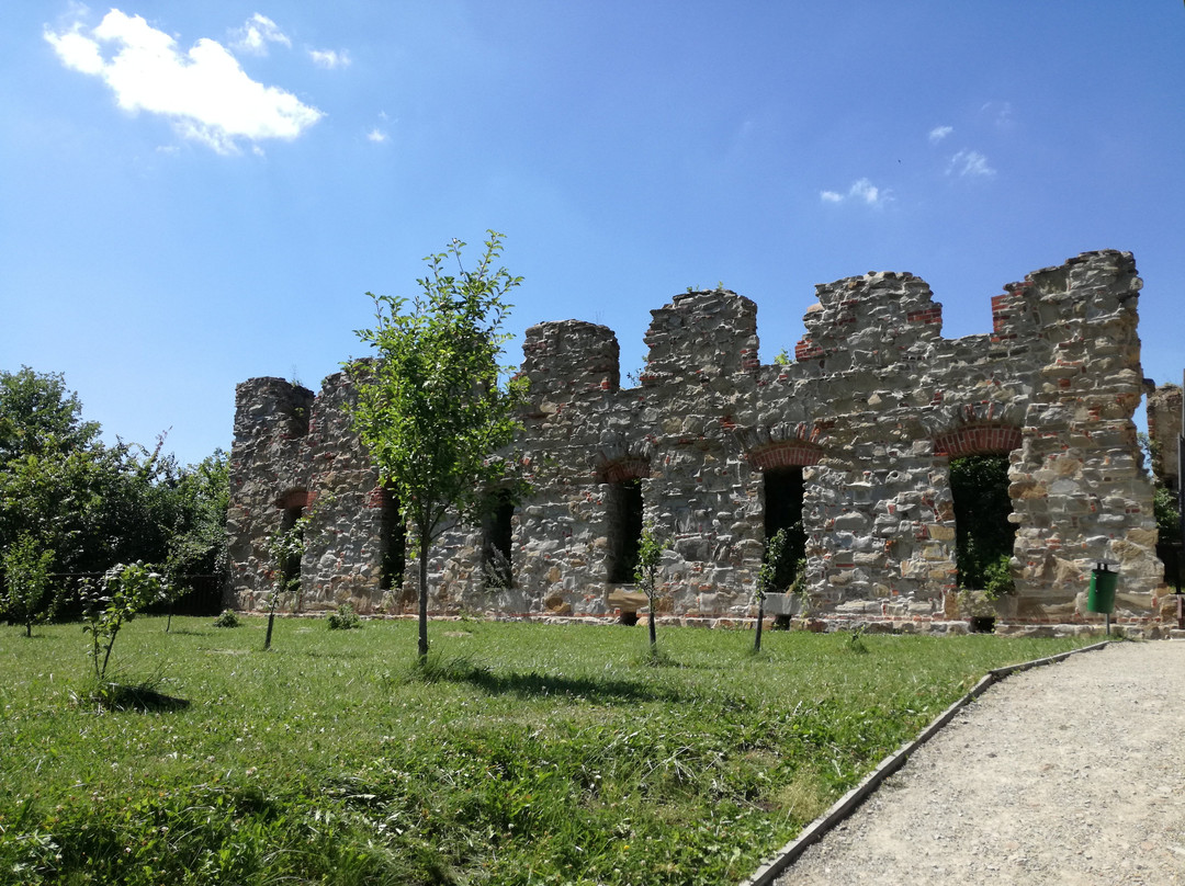 Ruiny Warownego Klasztoru Karmelitow Bosych景点图片