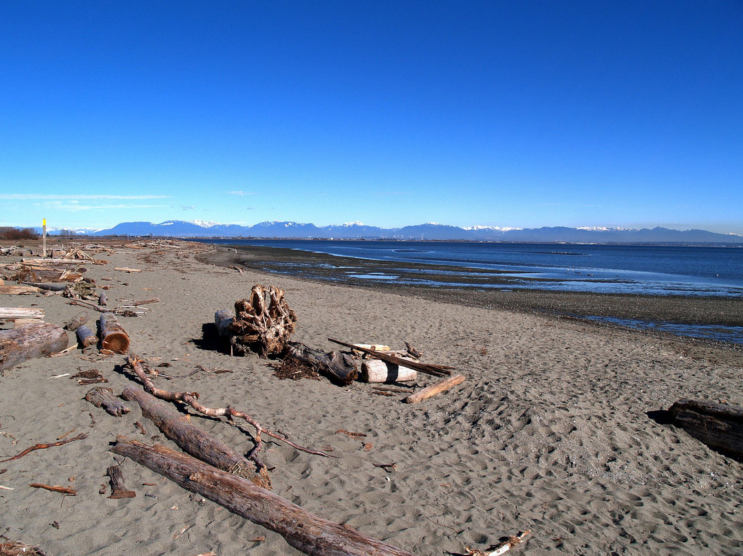 Centennial Beach景点图片