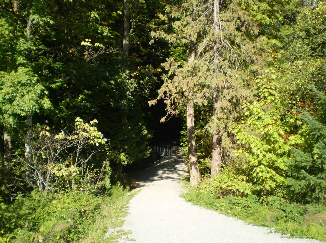 Byrne Creek Ravine Park景点图片