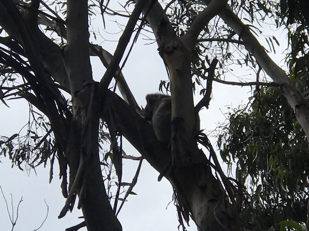 莱特基波汽车旅馆主图