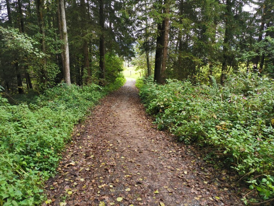Eifersbacher Waterfall Wanderweg-圣约翰堤候必去景点