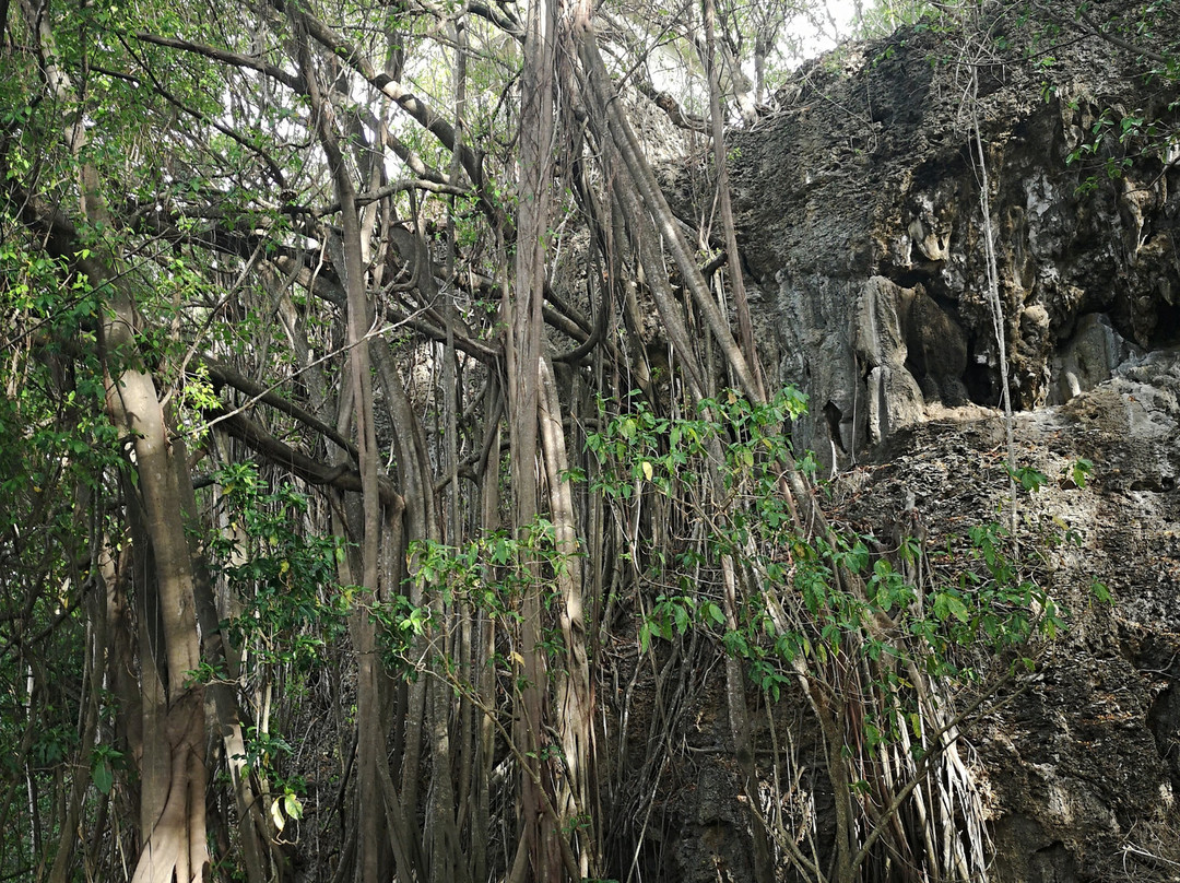 Gun Emplacement-Flying Fish Cove必去景点