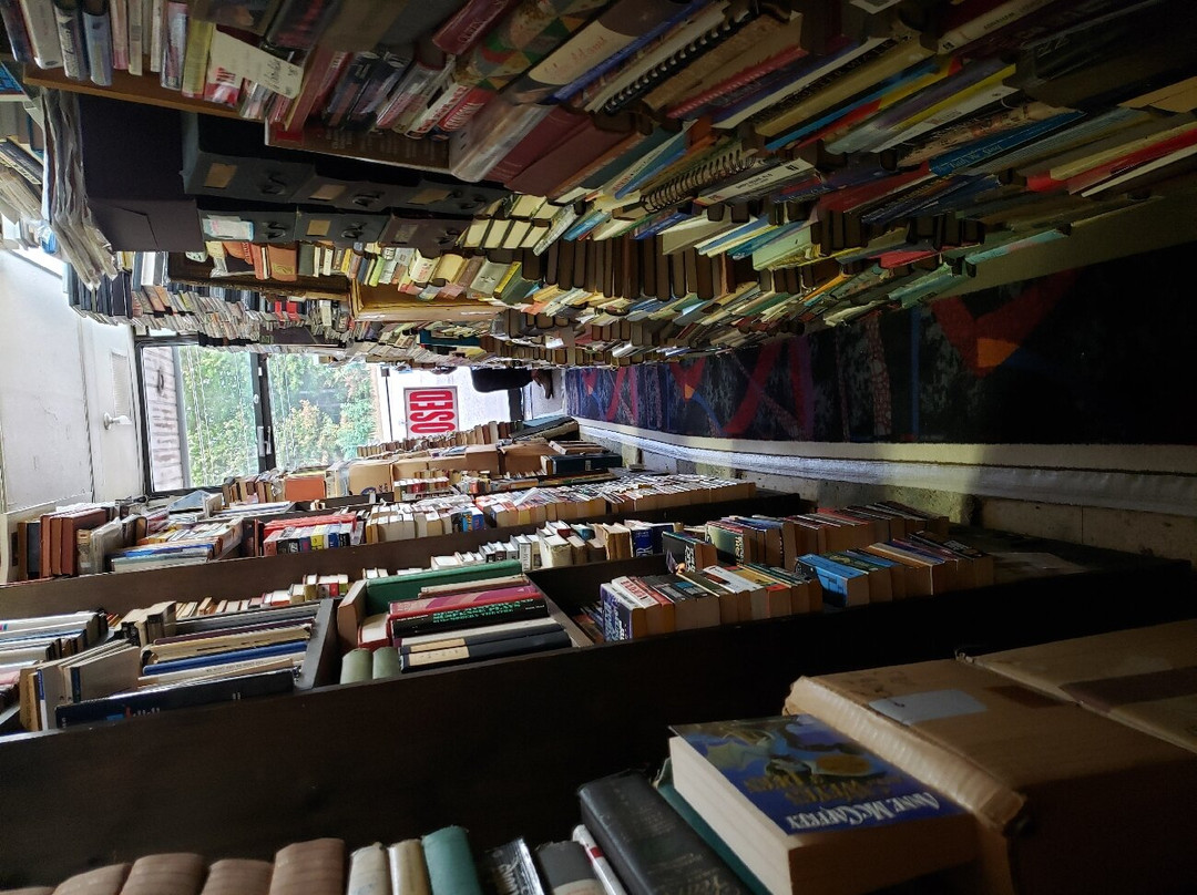 Antiquarian Bookstore景点图片
