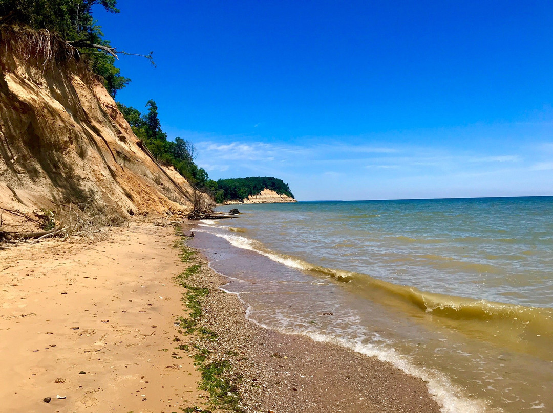 Calvert Cliffs State Park景点图片