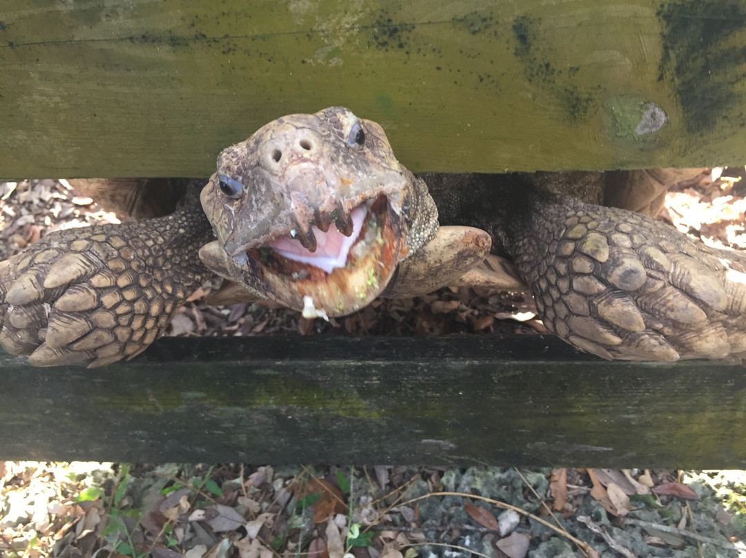 Redland Equestrian Center-霍姆斯特德必去景点