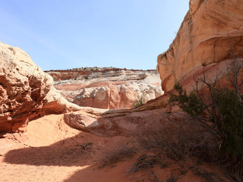 White Pocket-Grand Canyon-Parashant National Monument必去景点