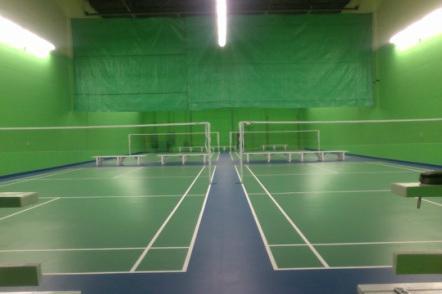 Arizona Badminton Center景点图片