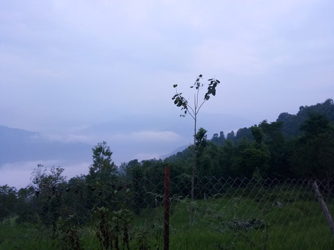 Paradise Chibbo Resort主图