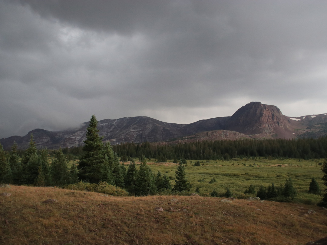 King's Peak-埃文斯顿必去景点
