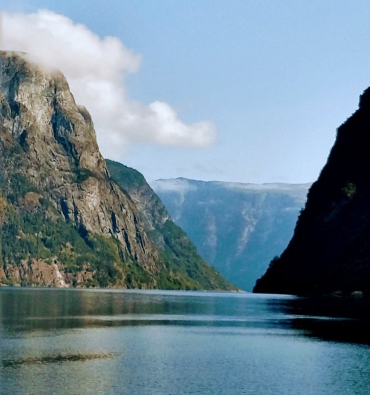 Fiordos Noruegos景点图片