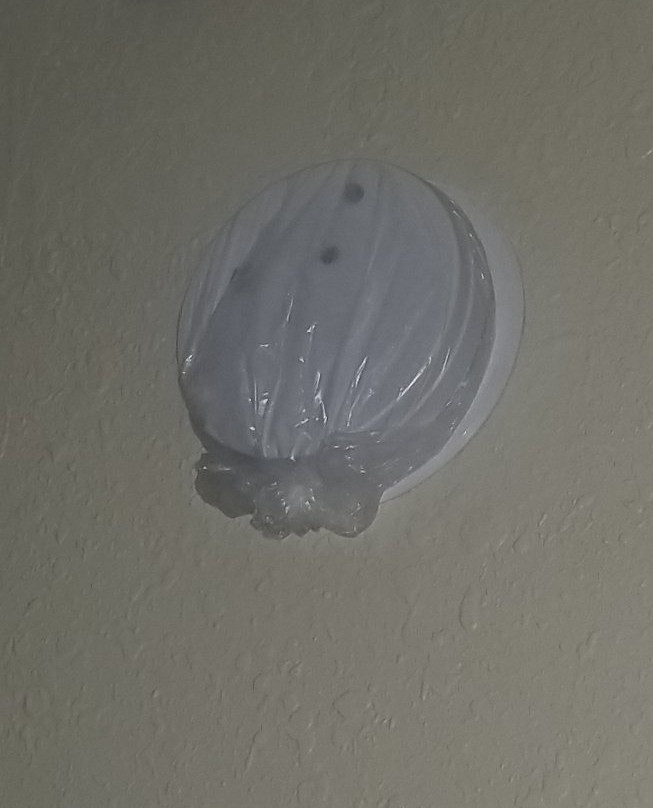 Comfort Inn Hamburg Area / I-75 Lexington主图