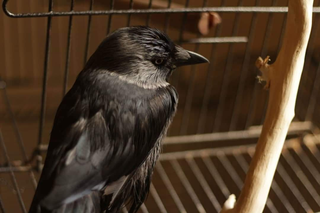 Aleph B-贝鲁特必去景点