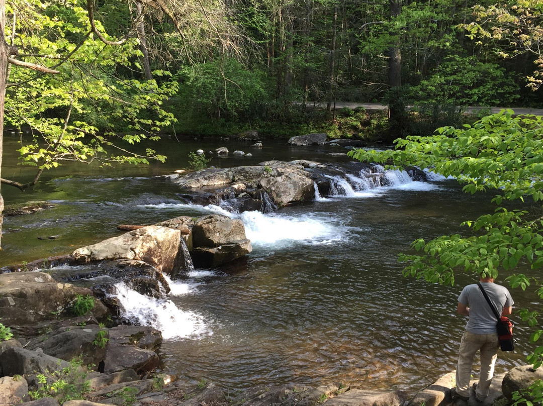 Tennessee Valley Trikke - Day Rentals-克里夫兰必去景点