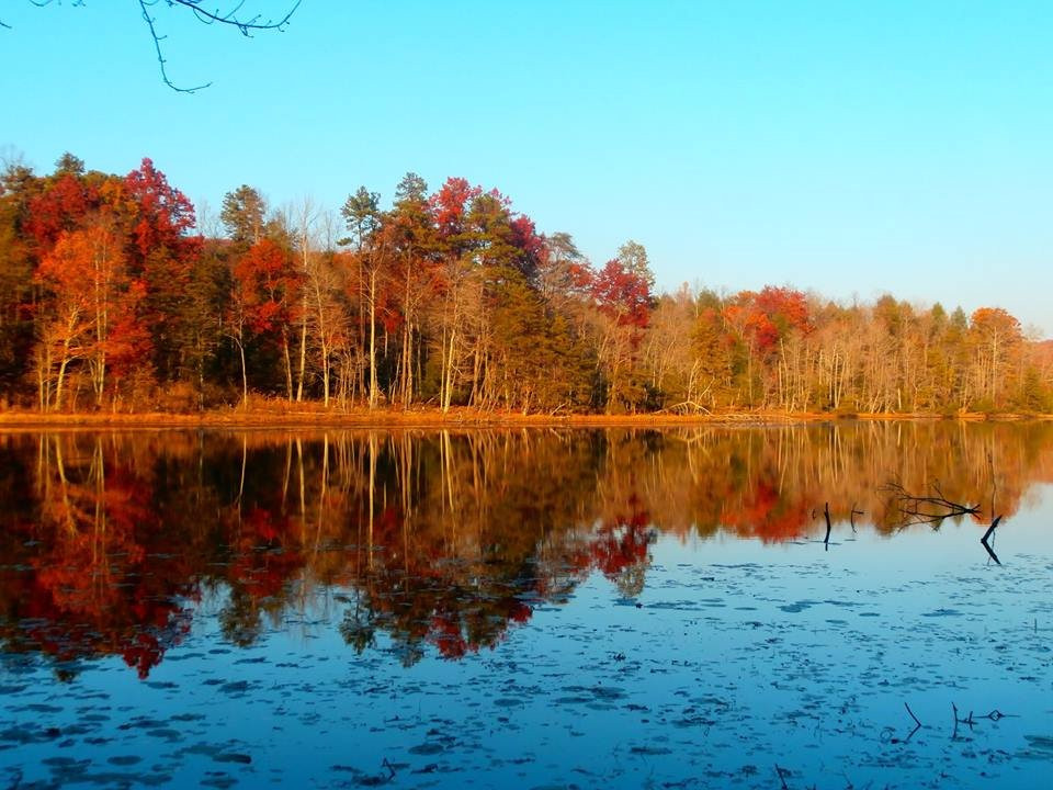 Bays Mountain Park & Planetarium景点图片