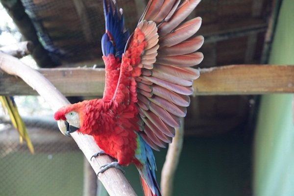 Zoologico Municipal de Cascavel - Danilo José Galafassi-Cascavel必去景点