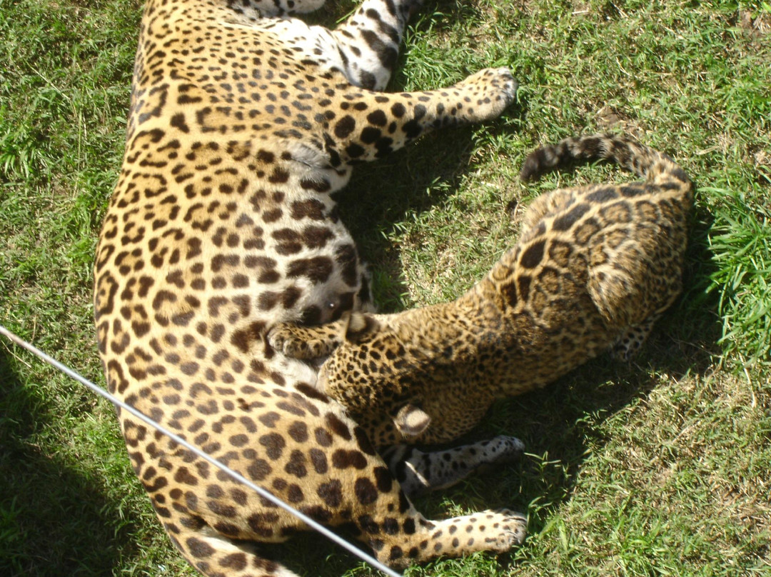 Zoo de Batan-Batan必去景点