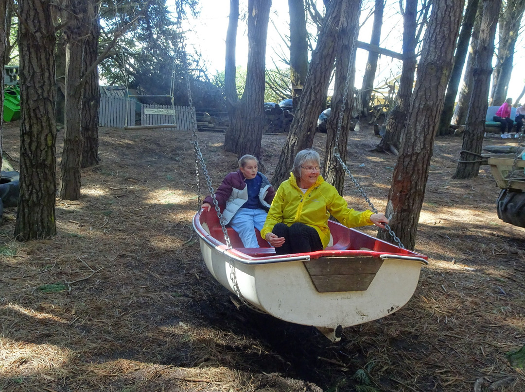 Waitarere Forest景点图片