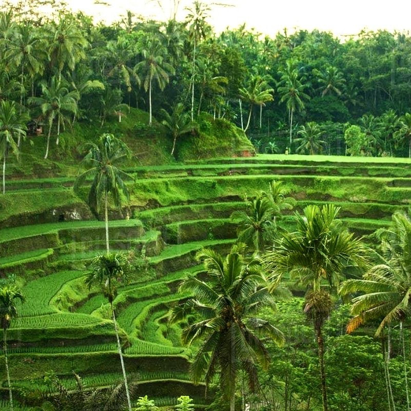 Peaceful Bali Tour