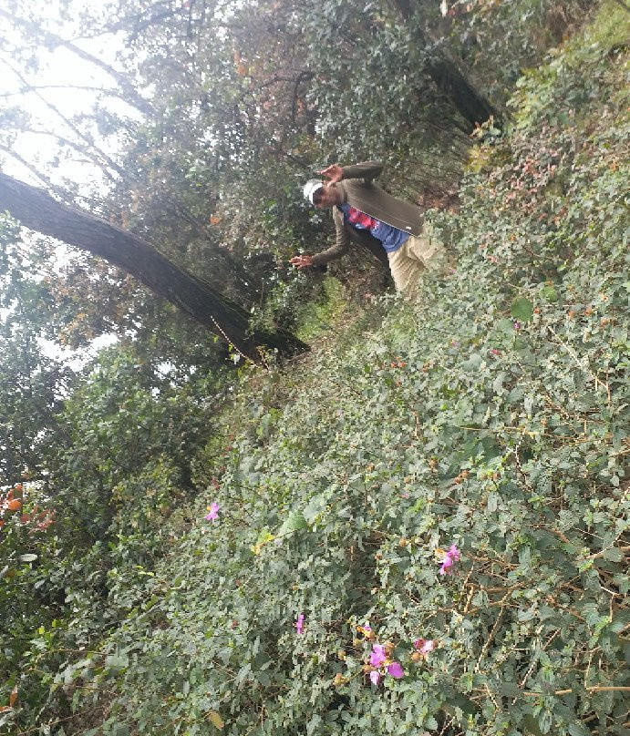 Thangamale Bird Sanctuary-哈普特莱必去景点