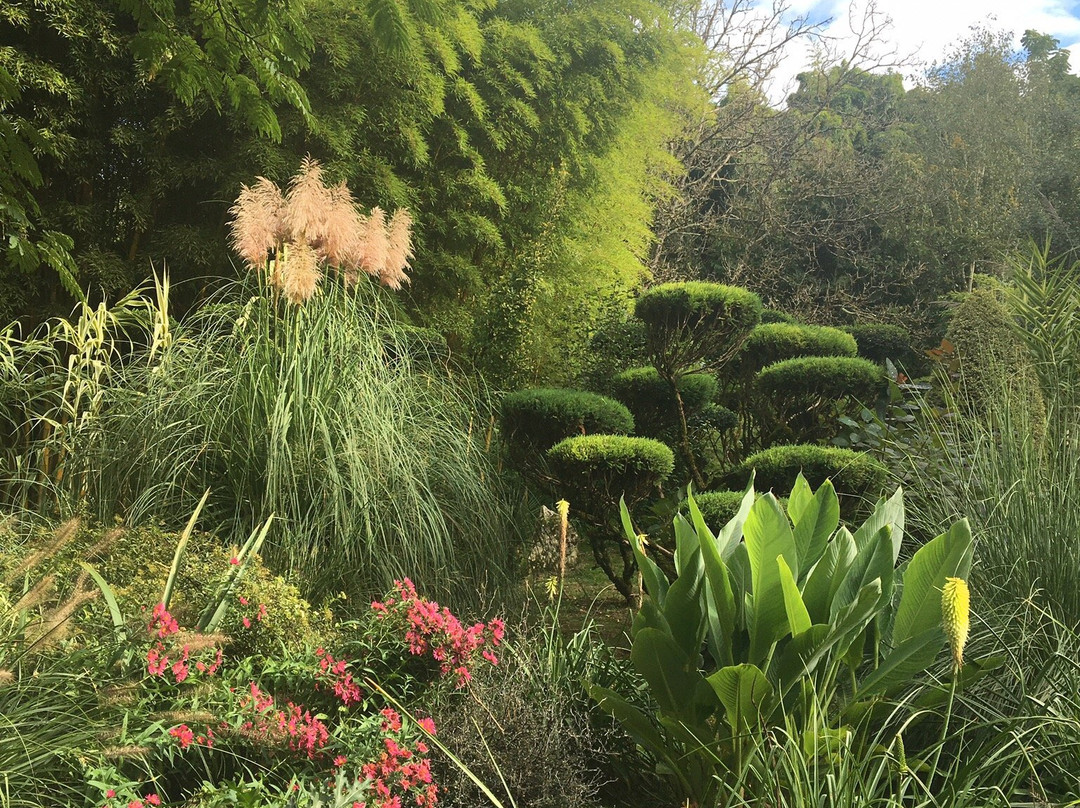 Le Jardin de Planbuisson景点图片