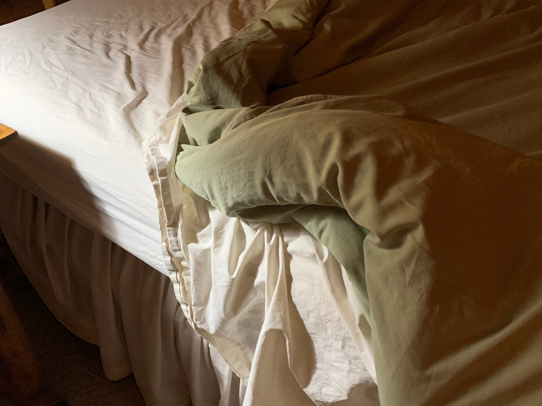 Log Cabin Cafe & Bed & Breakfast主图