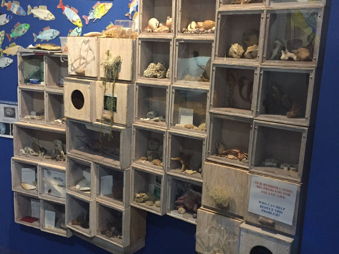 Marine and Freshwater Discovery Centre-皇后崖必去景点