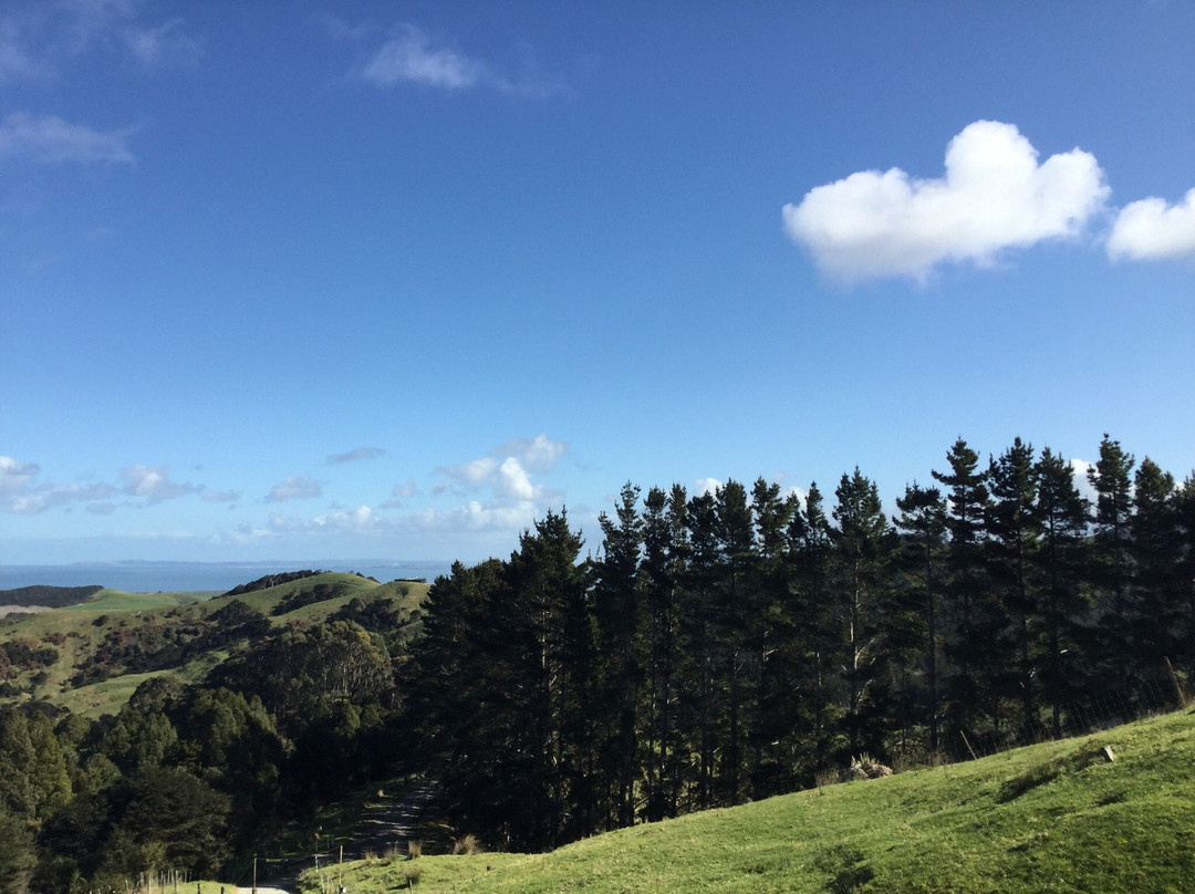 Mount Auckland Atuanui Walkway景点图片