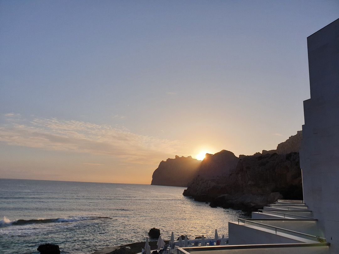 Globales Don Pedro主图