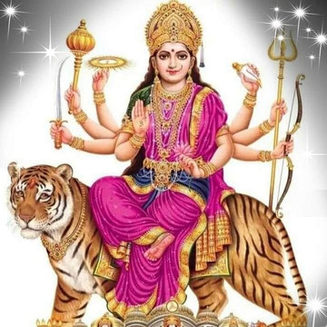 Cook with Surbhi-新德里必去景点