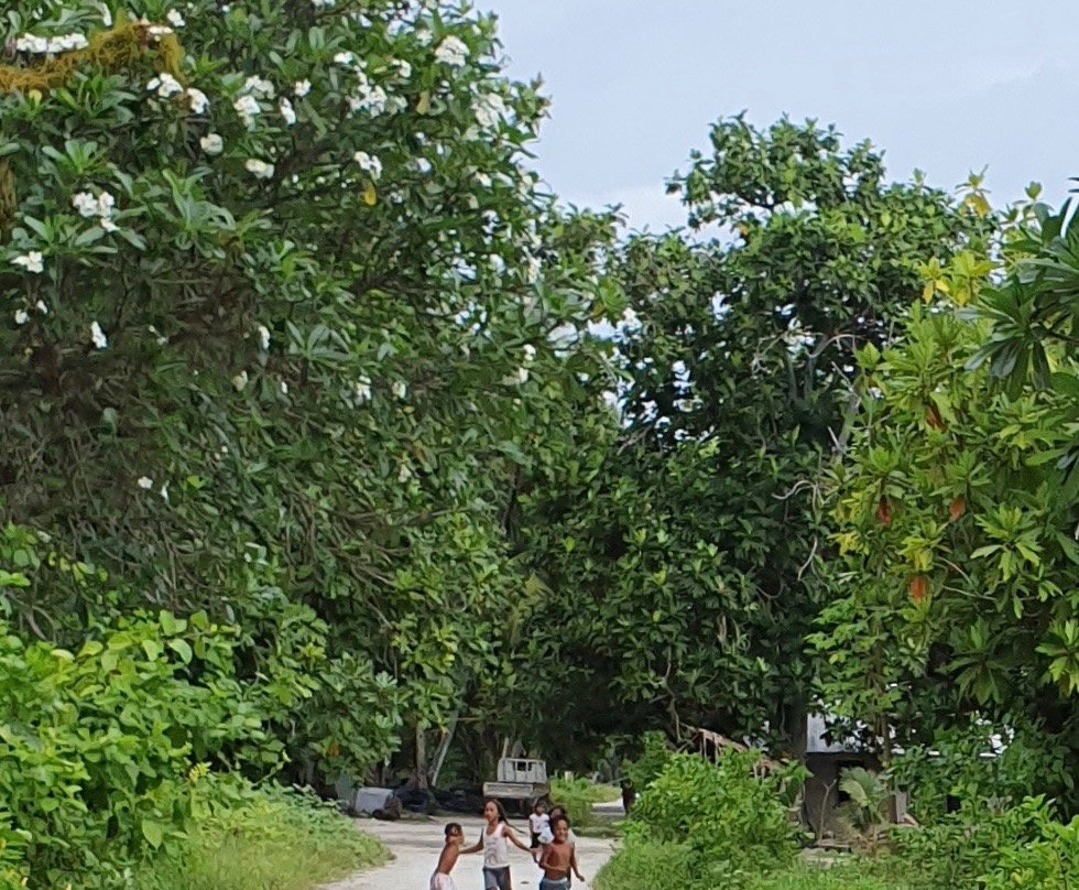 Abaiang旅游攻略图片