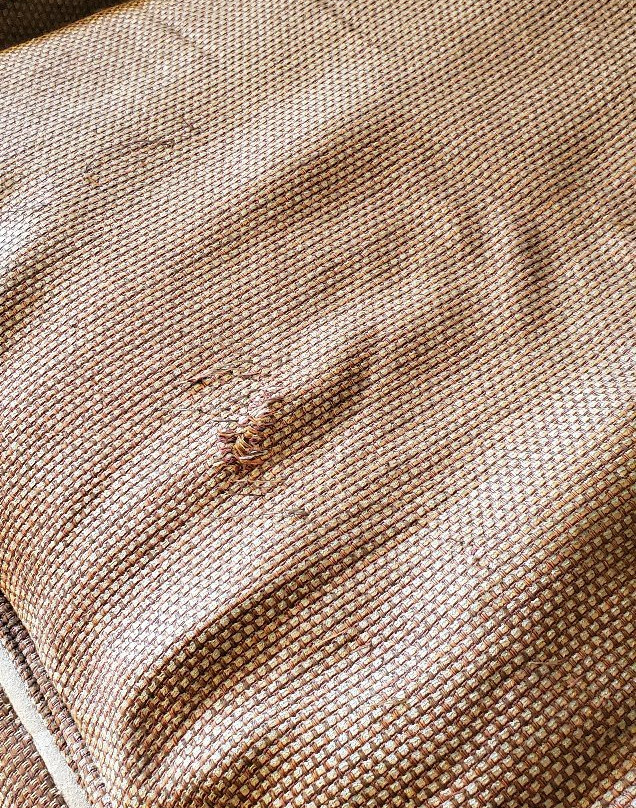 Staybridge Suites Quantico-Stafford by IHG主图