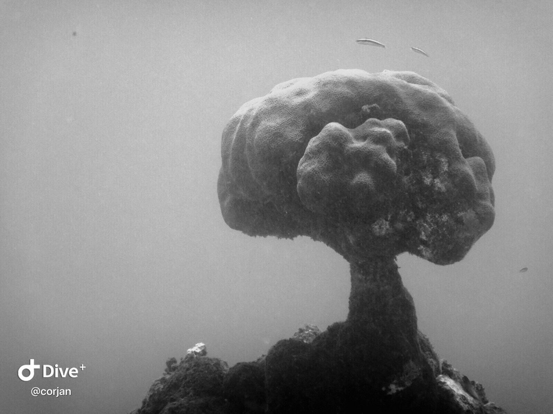 Boca Slagbaai-Washington-Slagbaai National Park必去景点