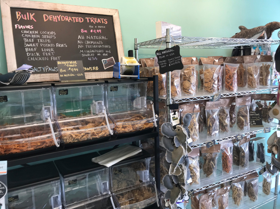 Salty Paws-里霍博斯比奇必去景点