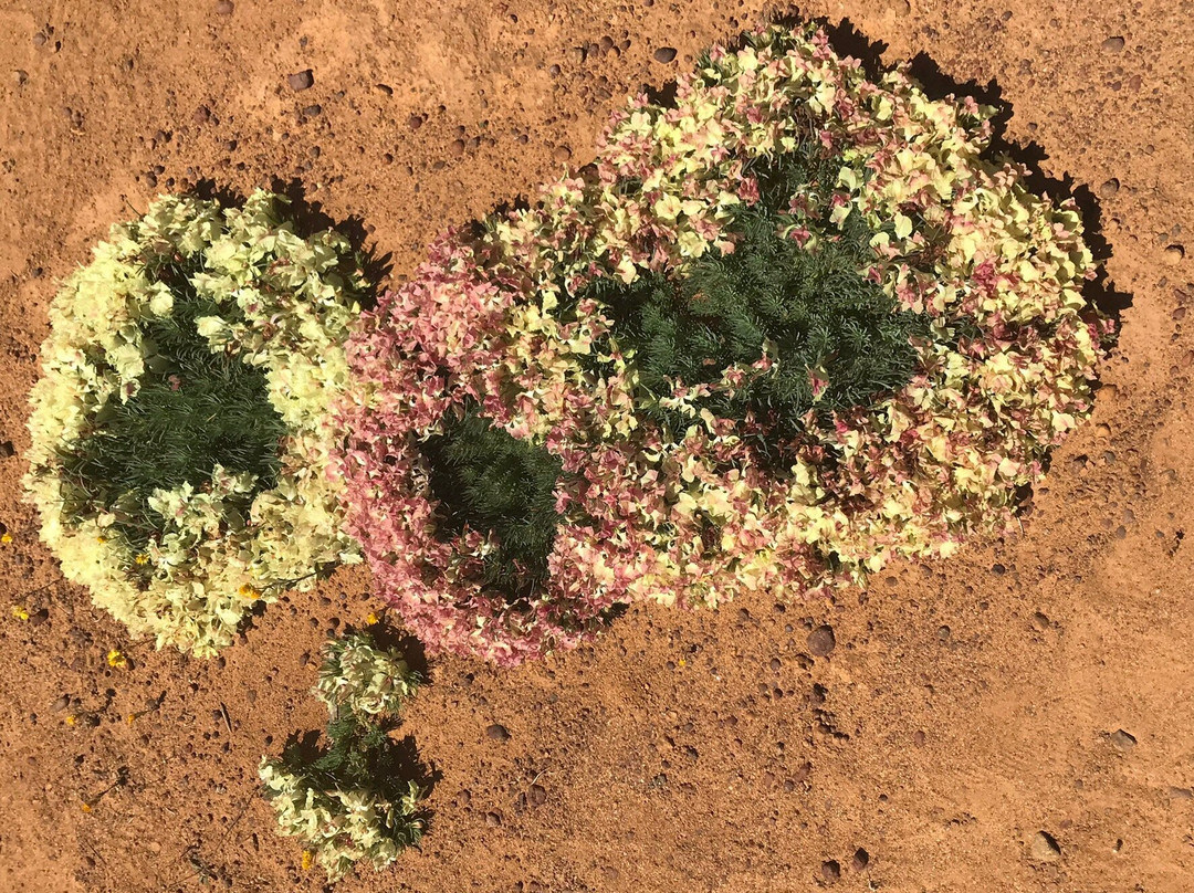 Perenjori Visitors Centre-Perenjori必去景点