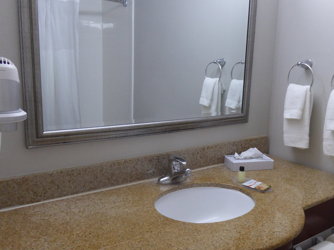 Wingate by Wyndham Savannah Gateway主图