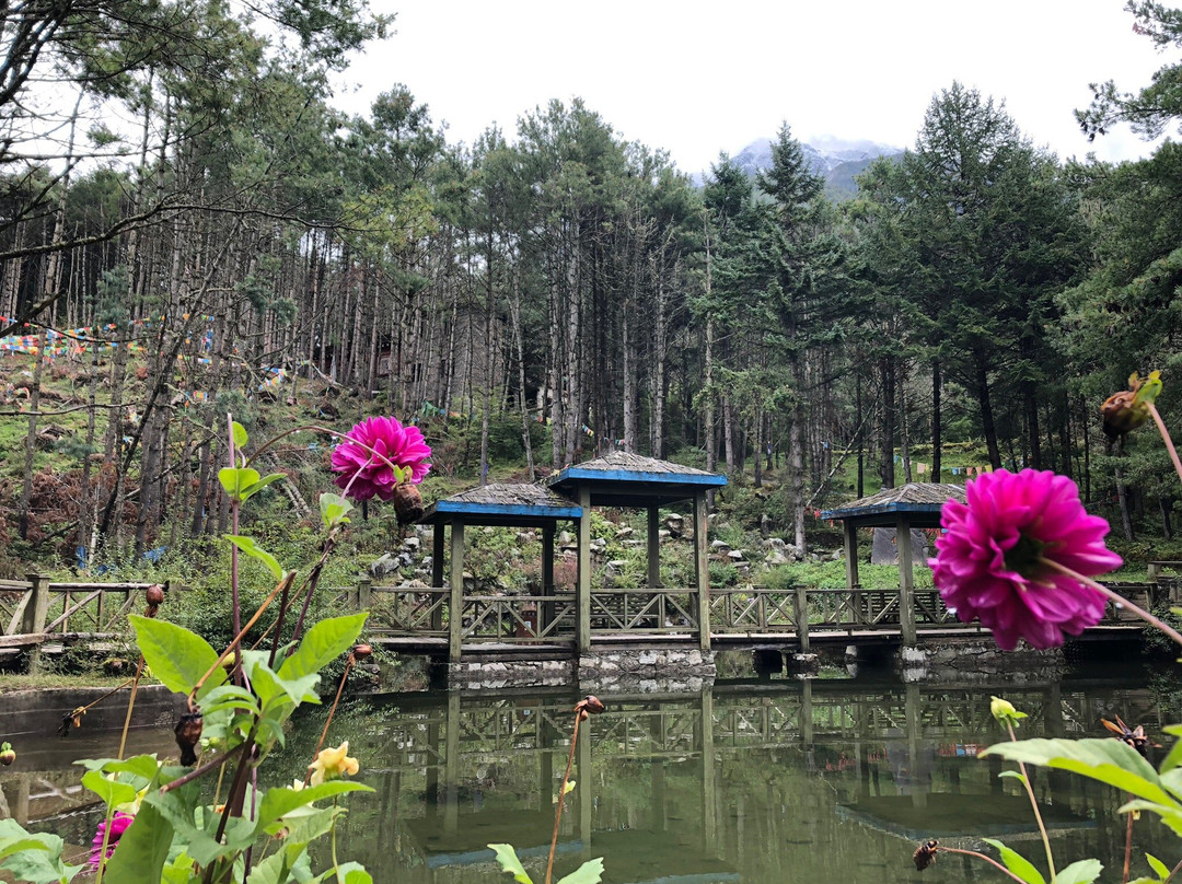 跑马山景点图片