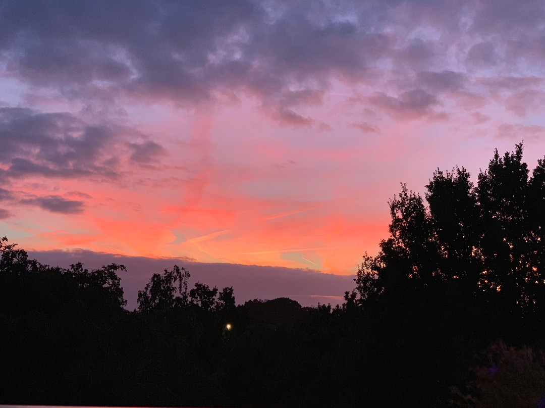 Electra Apartments & Studios主图