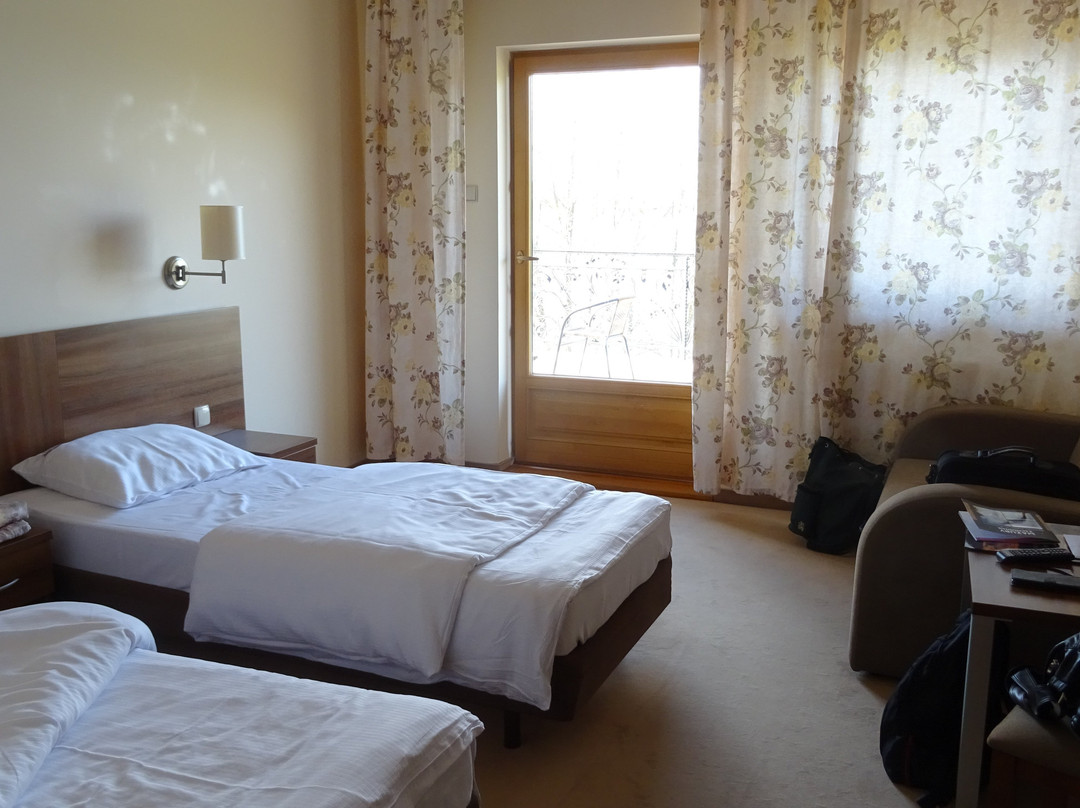 Labedz Hotel Karczma主图