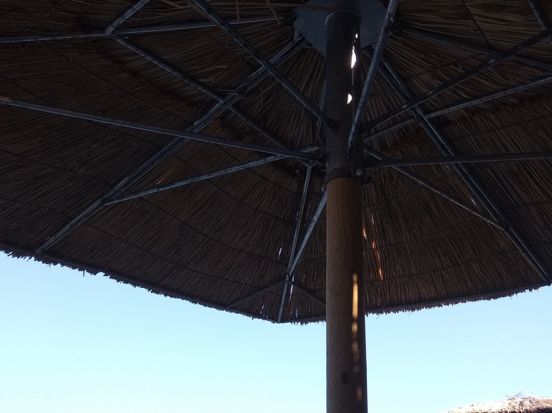 Beach Bar Kalo Livadi-Livadi必去景点