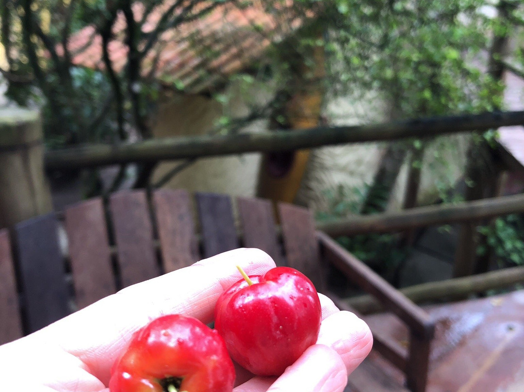 Pousada Aldeia主图