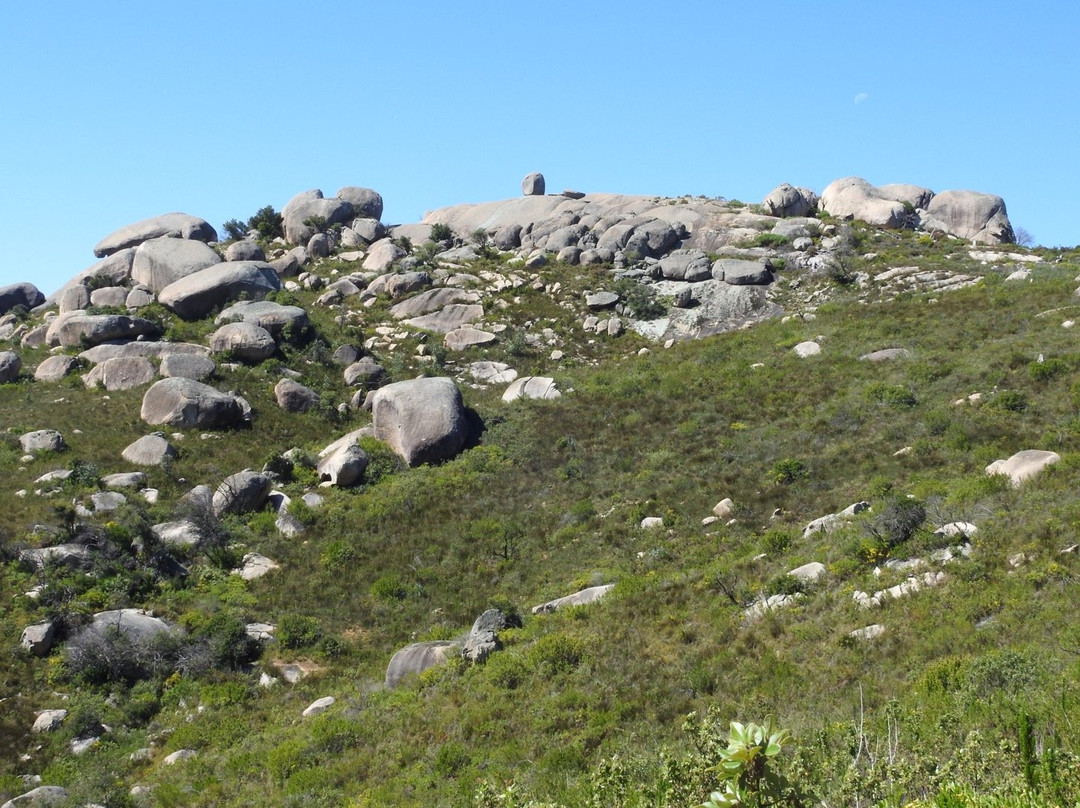 Paarl Mountain Nature Reserve景点图片
