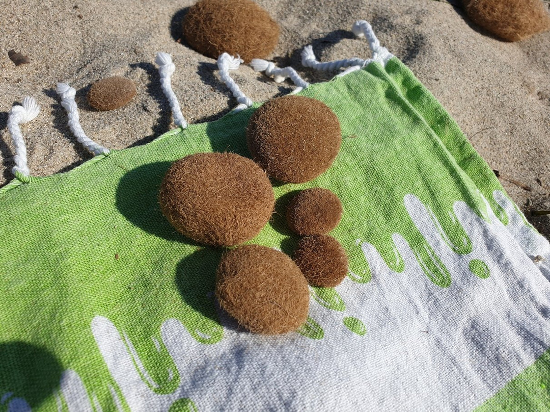 Spiaggia di Marina di Arborea-Arborea必去景点