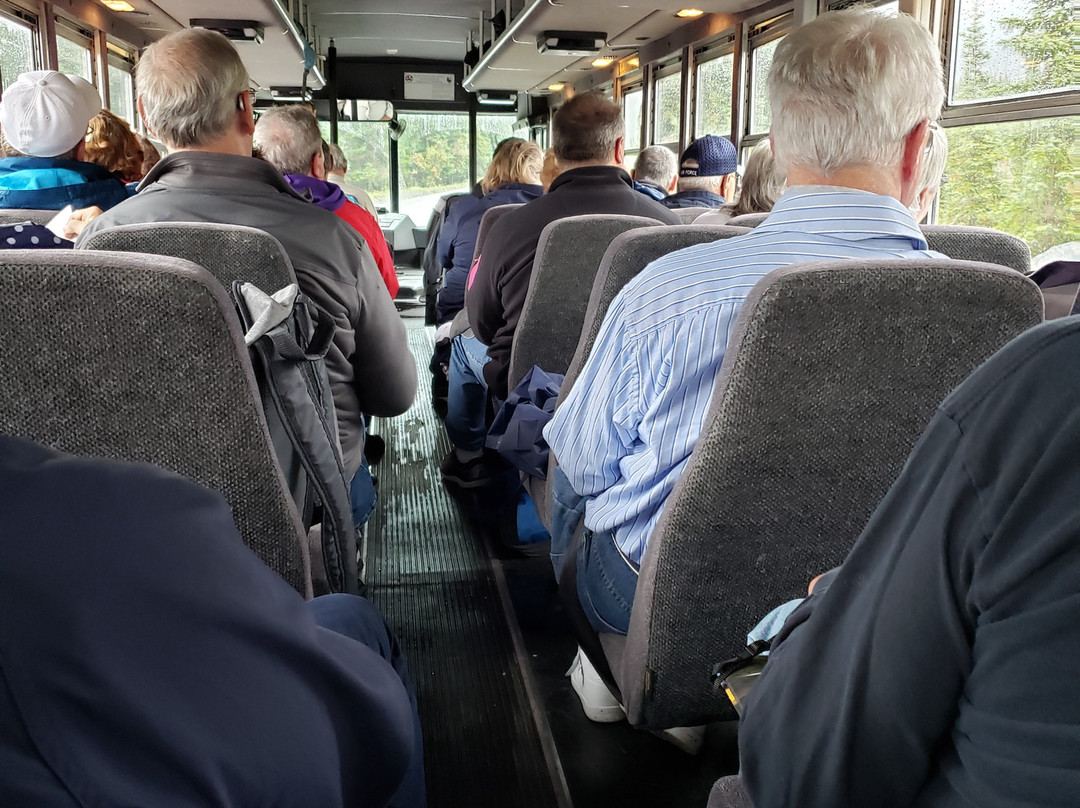 Denali Natural History Tour-德纳利国家公园和自然保护区必去景点